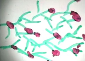 Jugendliche programmieren im SoSe 2018