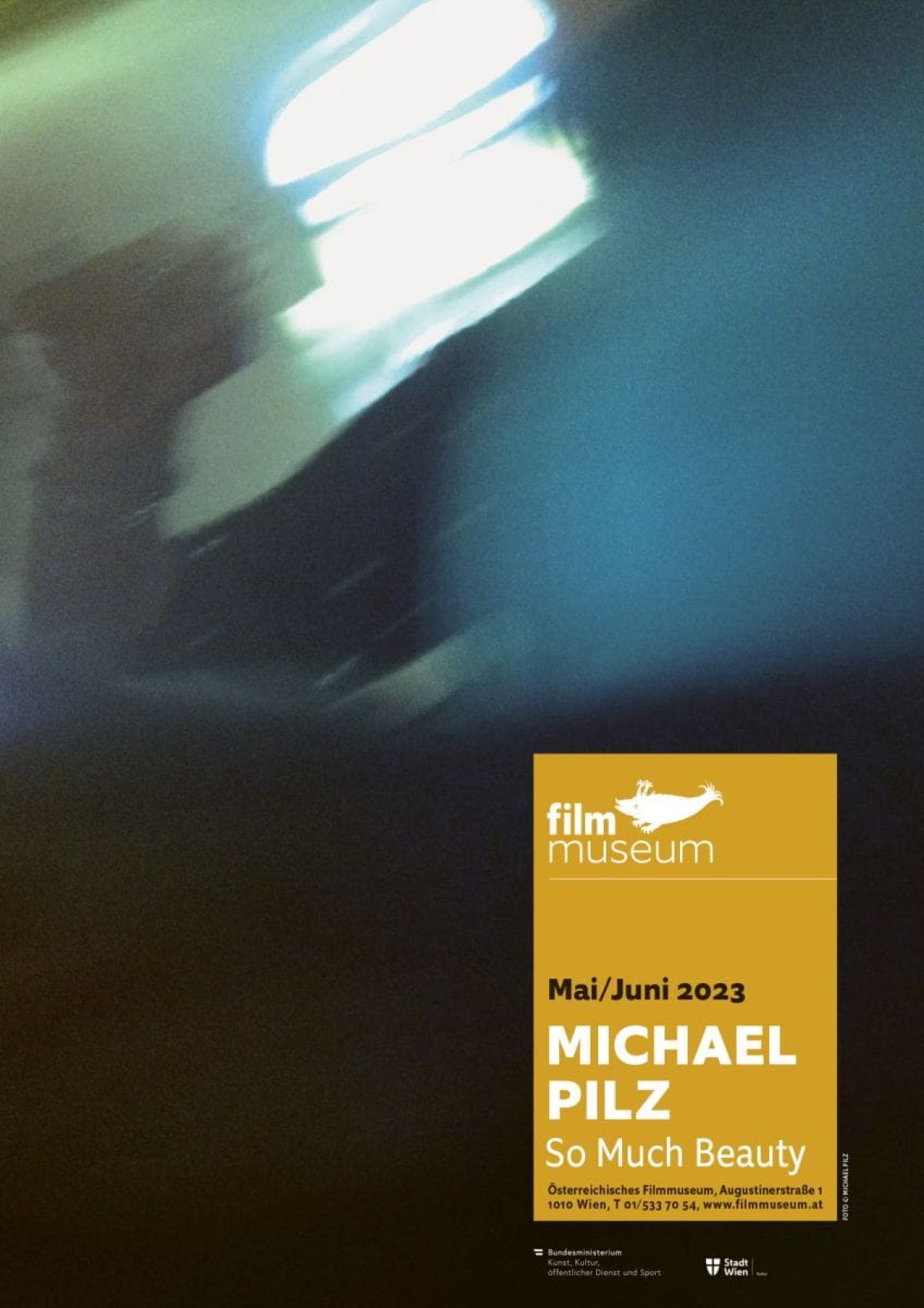 Plakat Michael Pilz. So Much Beauty