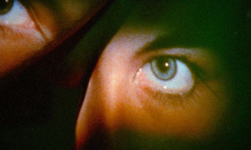 Die Praxis der Liebe, 1985, VALIE EXPORT