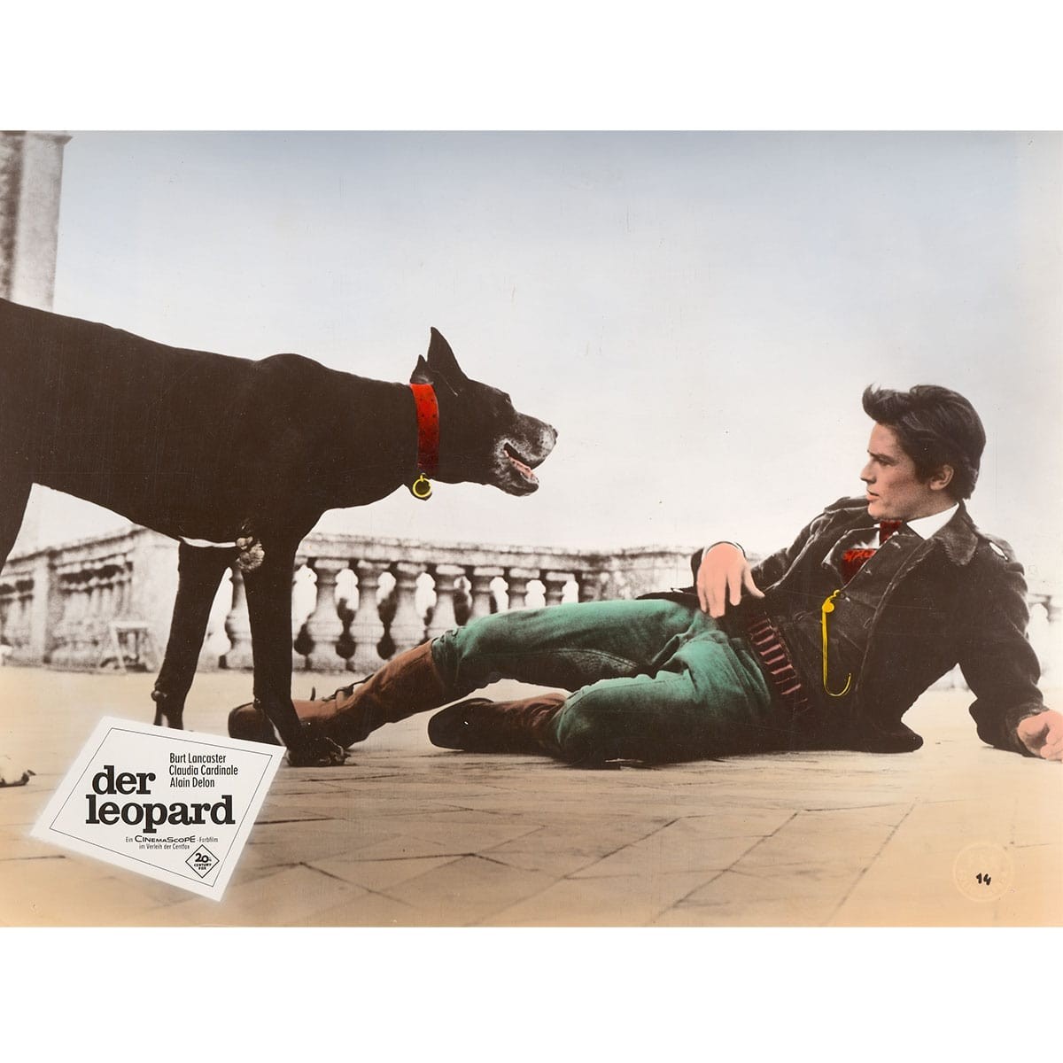 Postkarte Il gattopardo