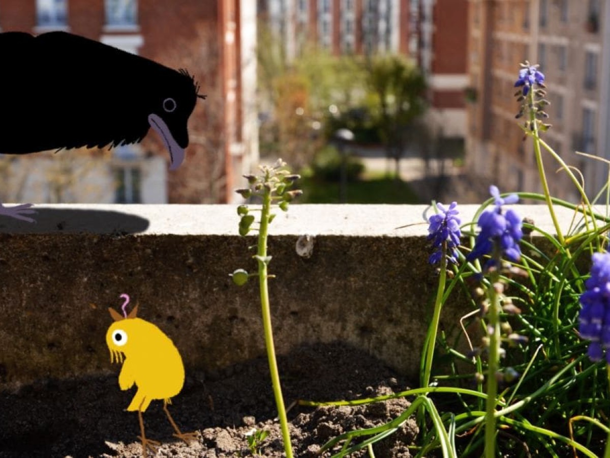 Kiki, der Kanarienvogel (Kiki La Plume), 2020, Julie Rembauville, Nicholas Bianco-Levrin