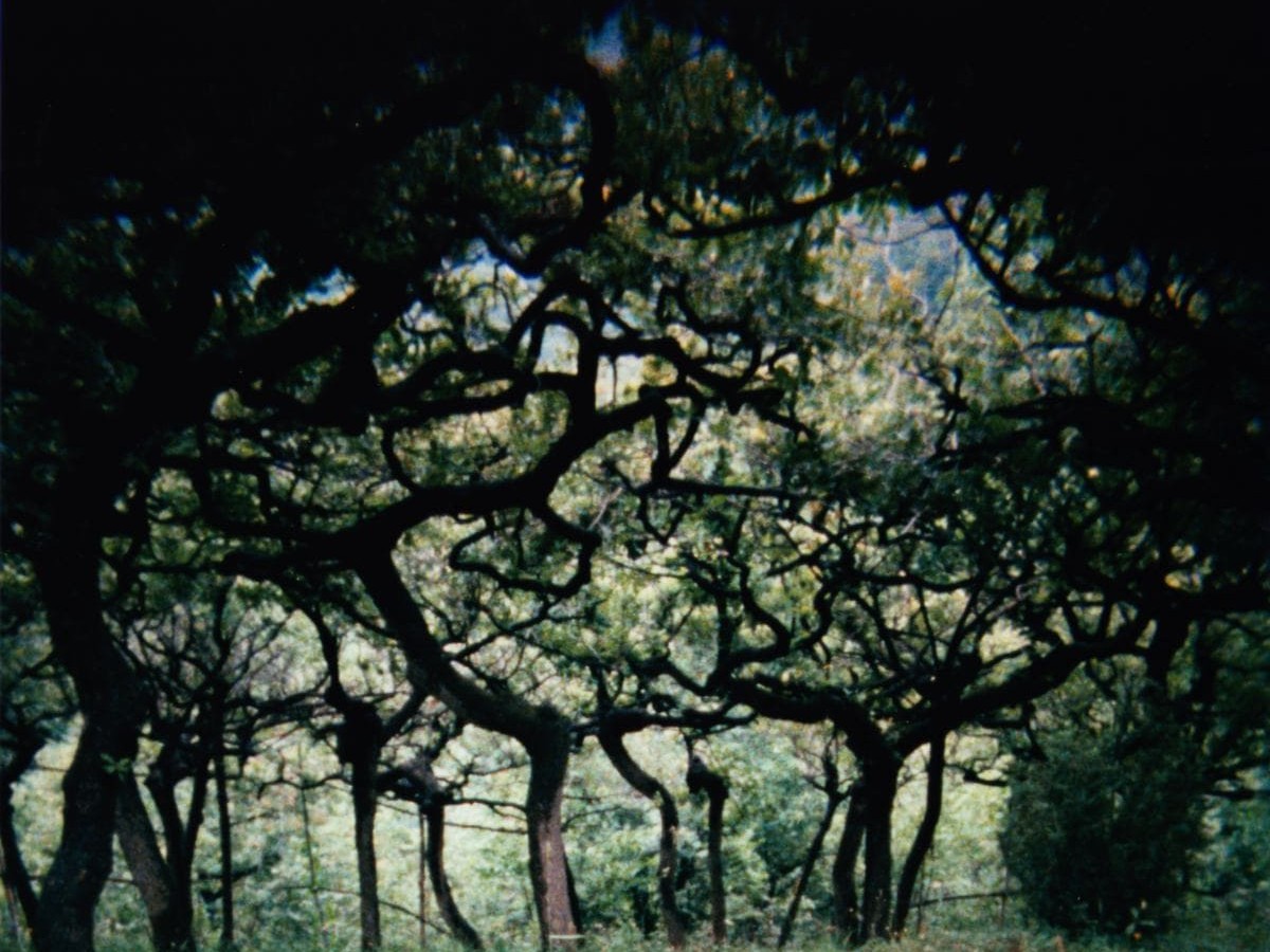 The Hedge Theater, 1986-90/2002, Robert Beavers