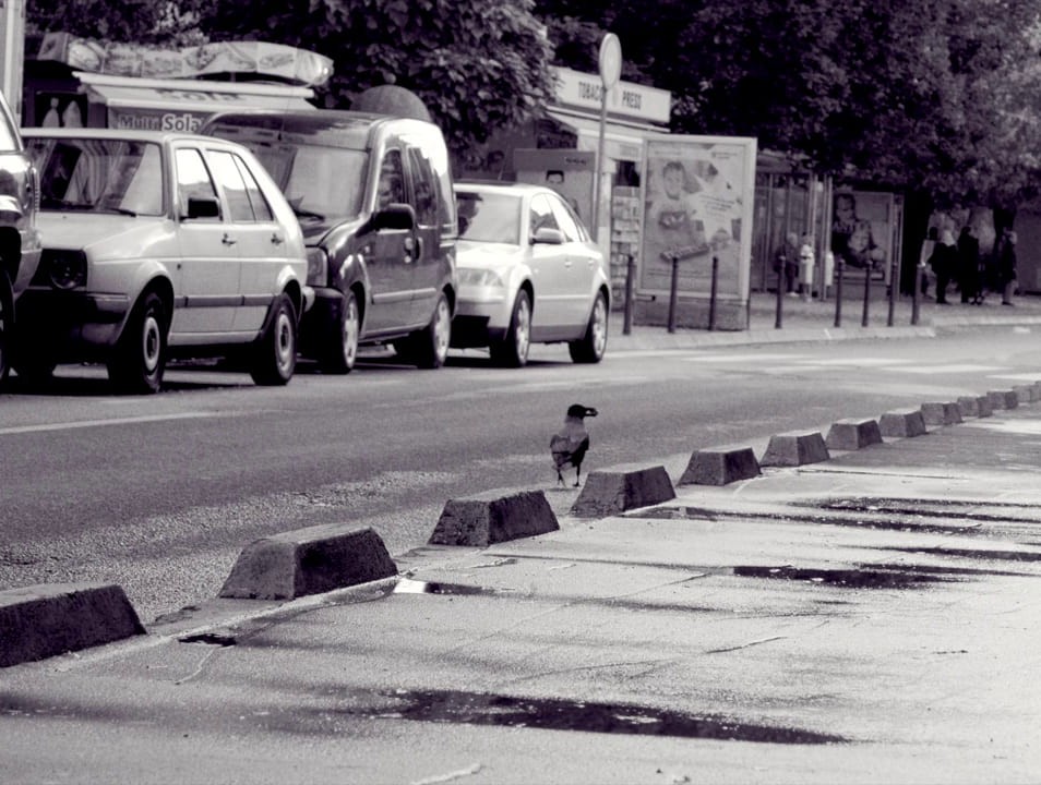 Filmmuseum-Trailer 2024: Faith von Lav Diaz