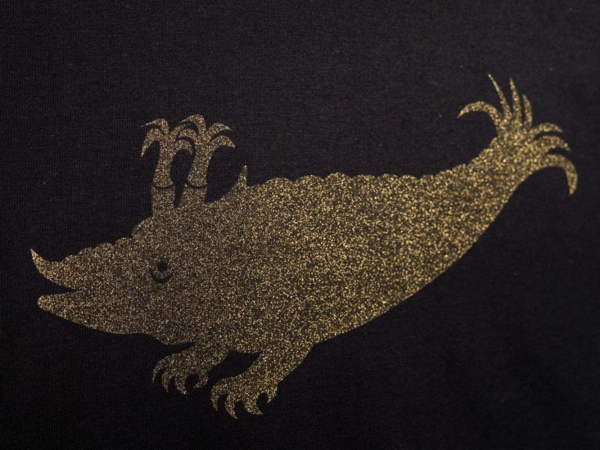 Langarmshirt (Schwarz / Zyphius gold glitzernd)