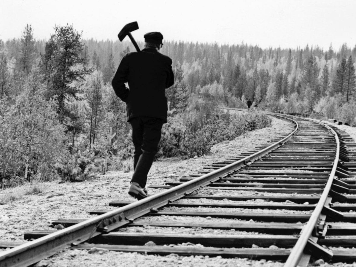 Uppehåll i myrlandet (Aufenhalt im Marschland), 1965, Jan Troell (Foto: Swedish Film Institute) 
