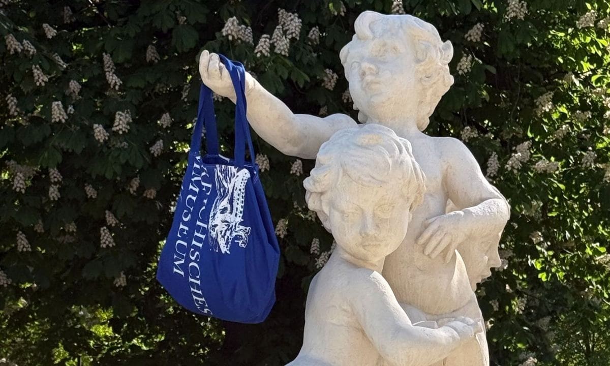 Strandtasche (Symbolbild) (Foto: ÖFM © Josepha Edbauer)