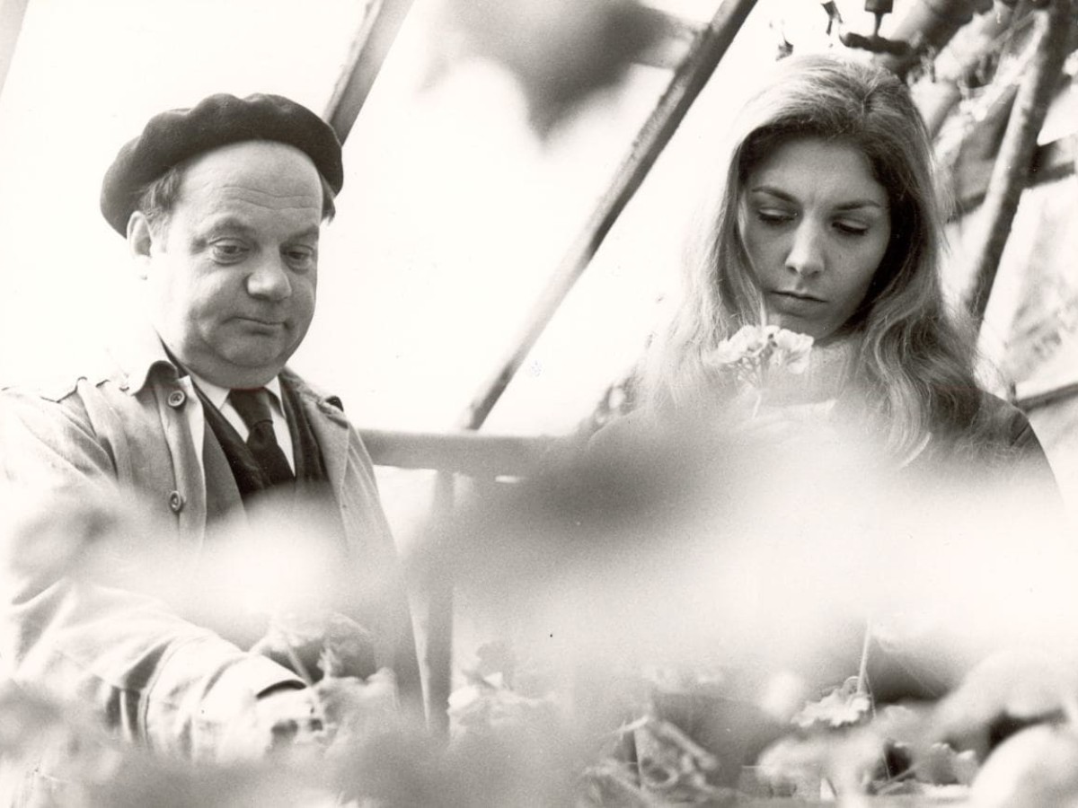 Moos auf den Steinen, 1968, Georg Lhotzky