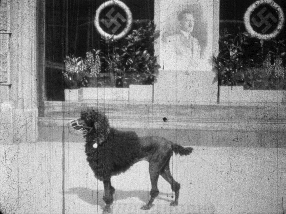 Amateuraufnahmen Wien, Frühjahr 1938, Walter Nitsche