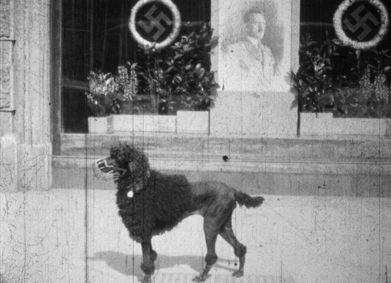 Amateuraufnahmen Wien, Frühjahr 1938, Walter Nitsche