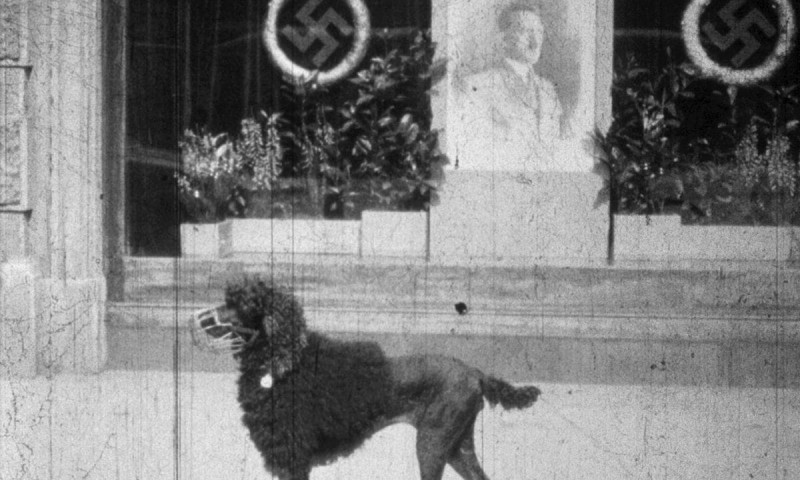 Amateuraufnahmen Wien, Frühjahr 1938, Walter Nitsche