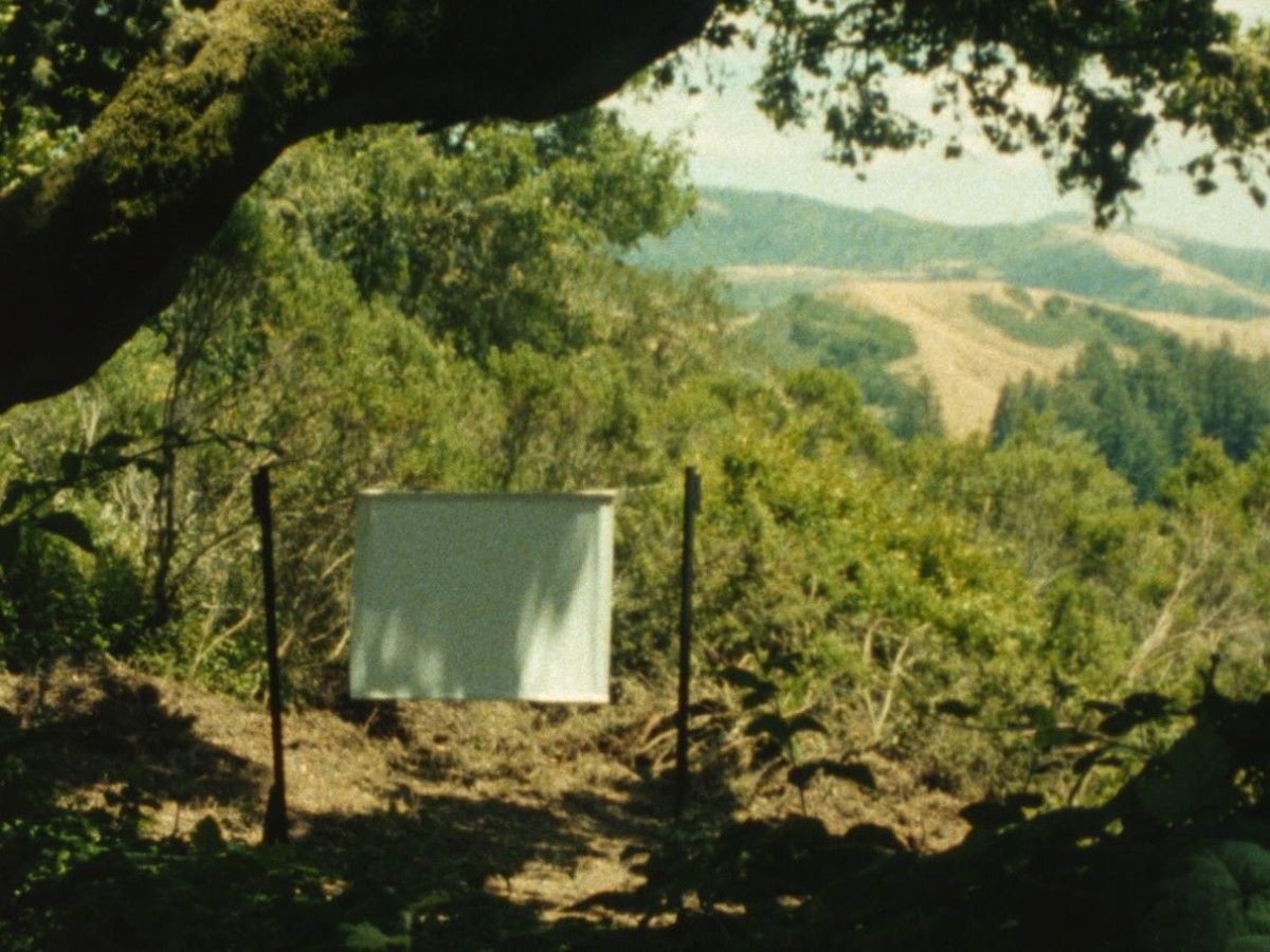 A Proposal to project in 4:3, 2016, Viktoria Schmid