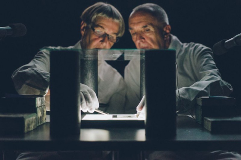 D&S © Amélie Chapalain